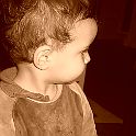 2005-11-083