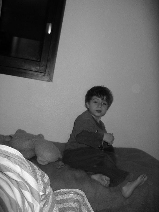 2007-03-003