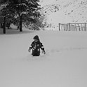 2007-03-017