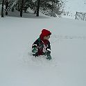 2007-03-019