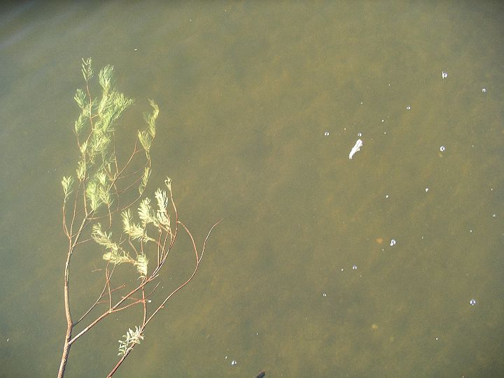2007-04-033