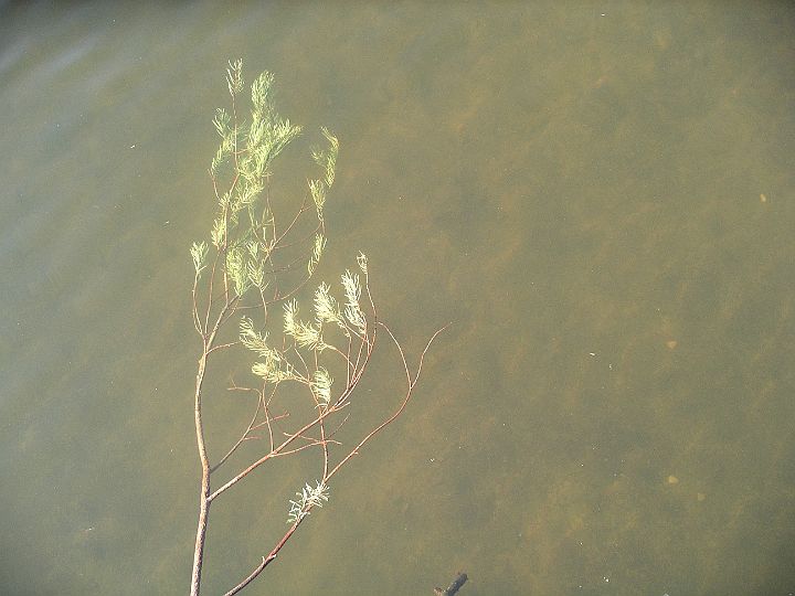 2007-04-034