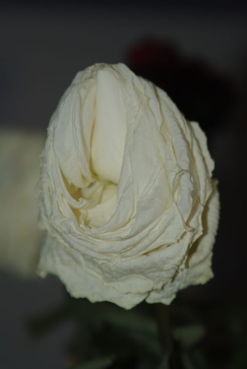 2009-02-063