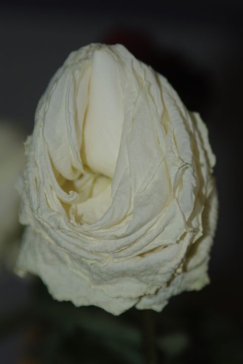 2009-02-064
