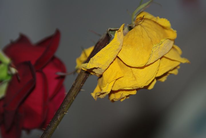 2009-02-065