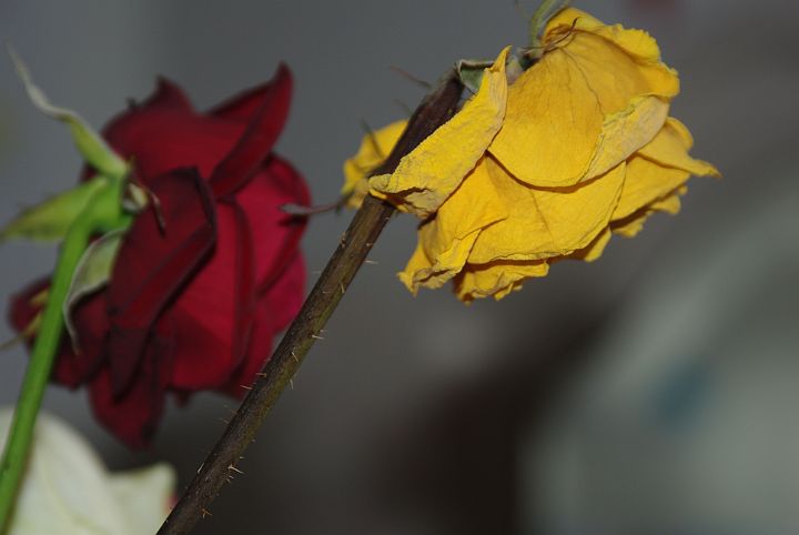 2009-02-069