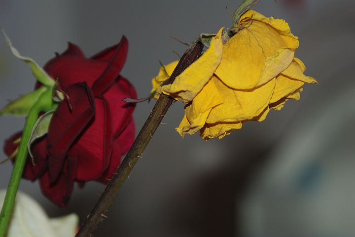 2009-02-070