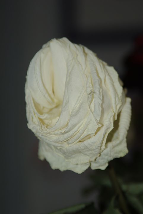 2009-02-074