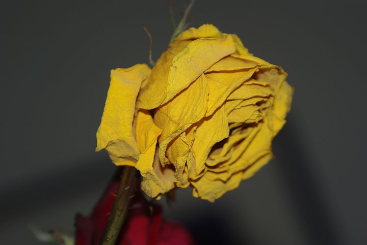 2009-02-076