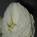 2009-02-064