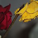 2009-02-069