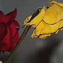 2009-02-070