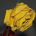 2009-02-076