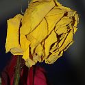 2009-02-077