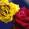 2009-02-083