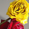 2009-02-084