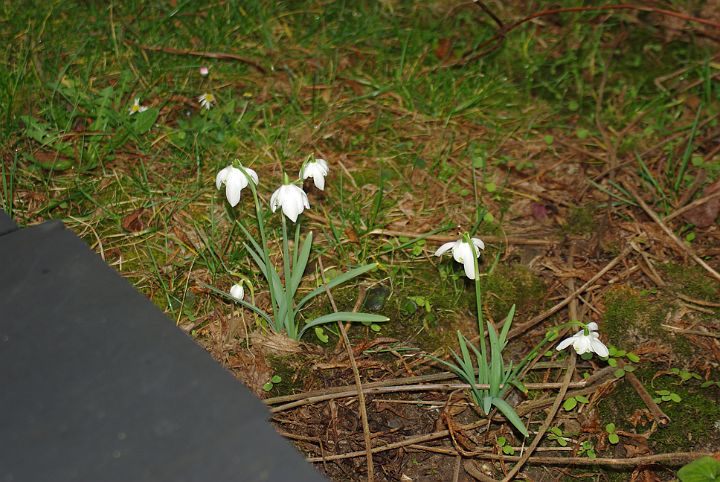 2009-03-0011