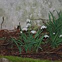 2009-03-0012