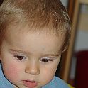 2009-04-008