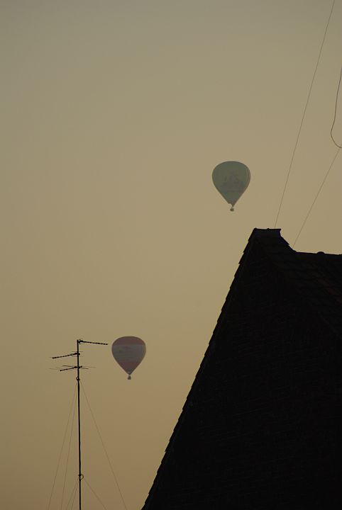 2009-07-006