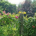 2009-07-019