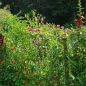 2009-07-021