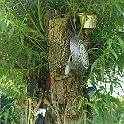 2009-07-045
