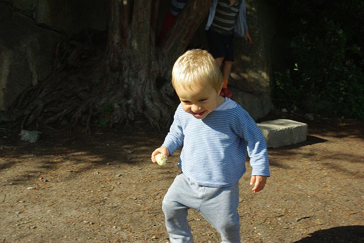 2009-08-0060