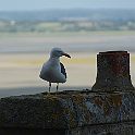 2009-08-0048