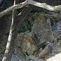 2009-08-0052