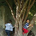 2009-08-0057