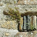 2009-08-0069