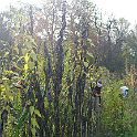 2009-11-019