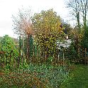 2009-11-035