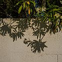 _P644669