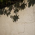 _P644670