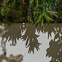 _P644679