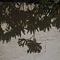 _P644711