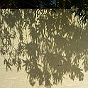 _P644722