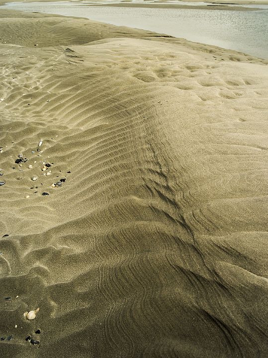 _P648529