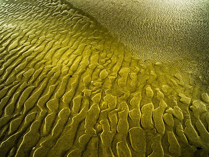 _P648546
