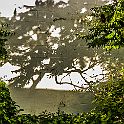 _P648495