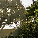_P648496
