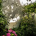 _P648497