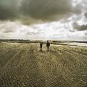 _P648511