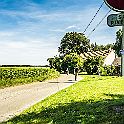 _P648594