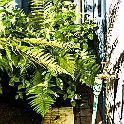 _P648600