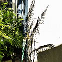 _P648602