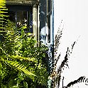 _P648603
