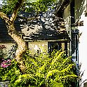 _P648609
